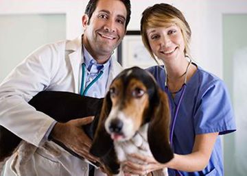 Clínica Veterinaria León veterinarios con perro