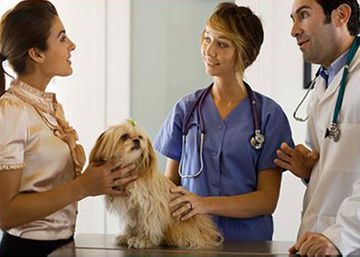 Clínica Veterinaria León veterinarios hablando con dueño de mascota
